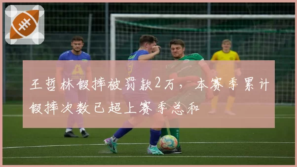王哲林假摔被罚款2万，本赛季累计假摔次数已超上赛季总和