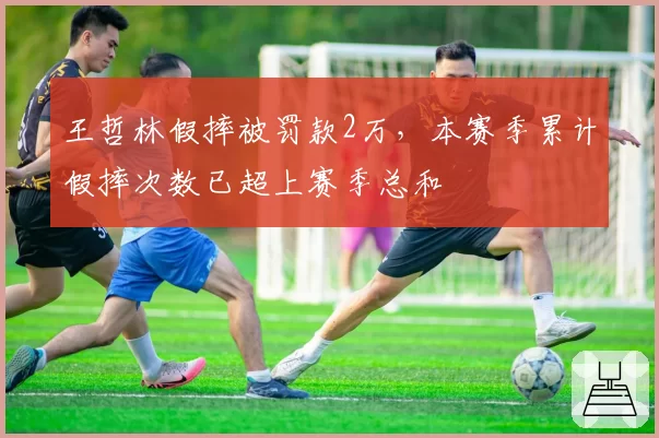 王哲林假摔被罚款2万，本赛季累计假摔次数已超上赛季总和