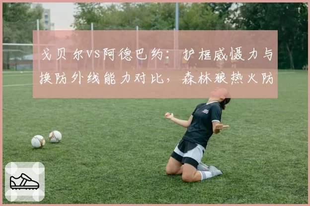 戈贝尔vs阿德巴约：护框威慑力与换防外线能力对比，森林狼热火防守体系差异