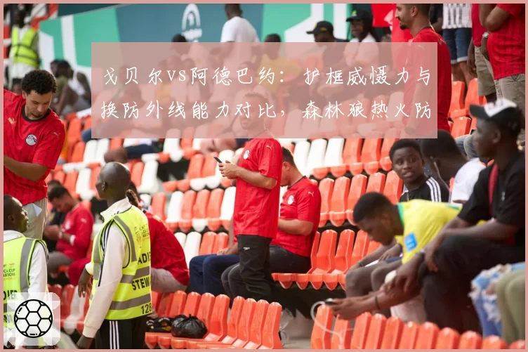 戈贝尔vs阿德巴约：护框威慑力与换防外线能力对比，森林狼热火防守体系差异